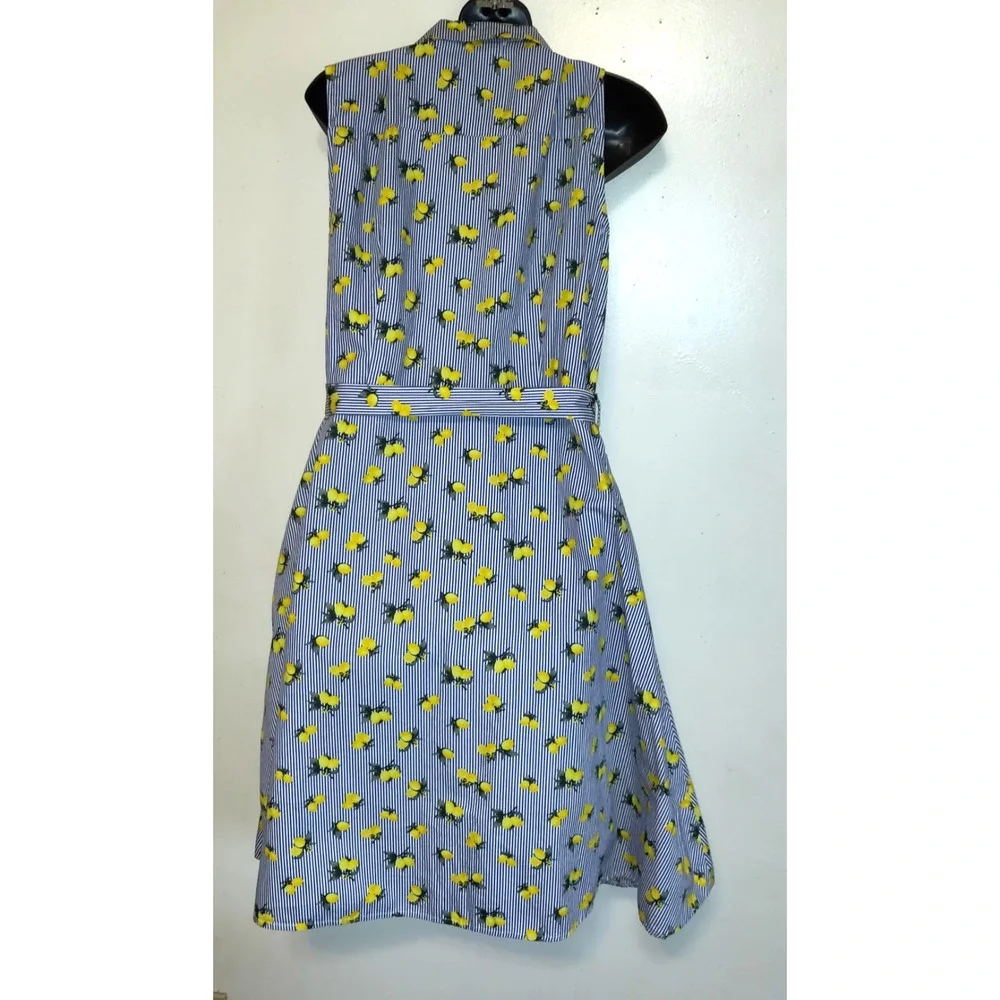 Chloe & Rene Blue Pinstripe Sleeveless Shirt Dress XL Lemon Print Cotton Belted - Picture 7 of 16
